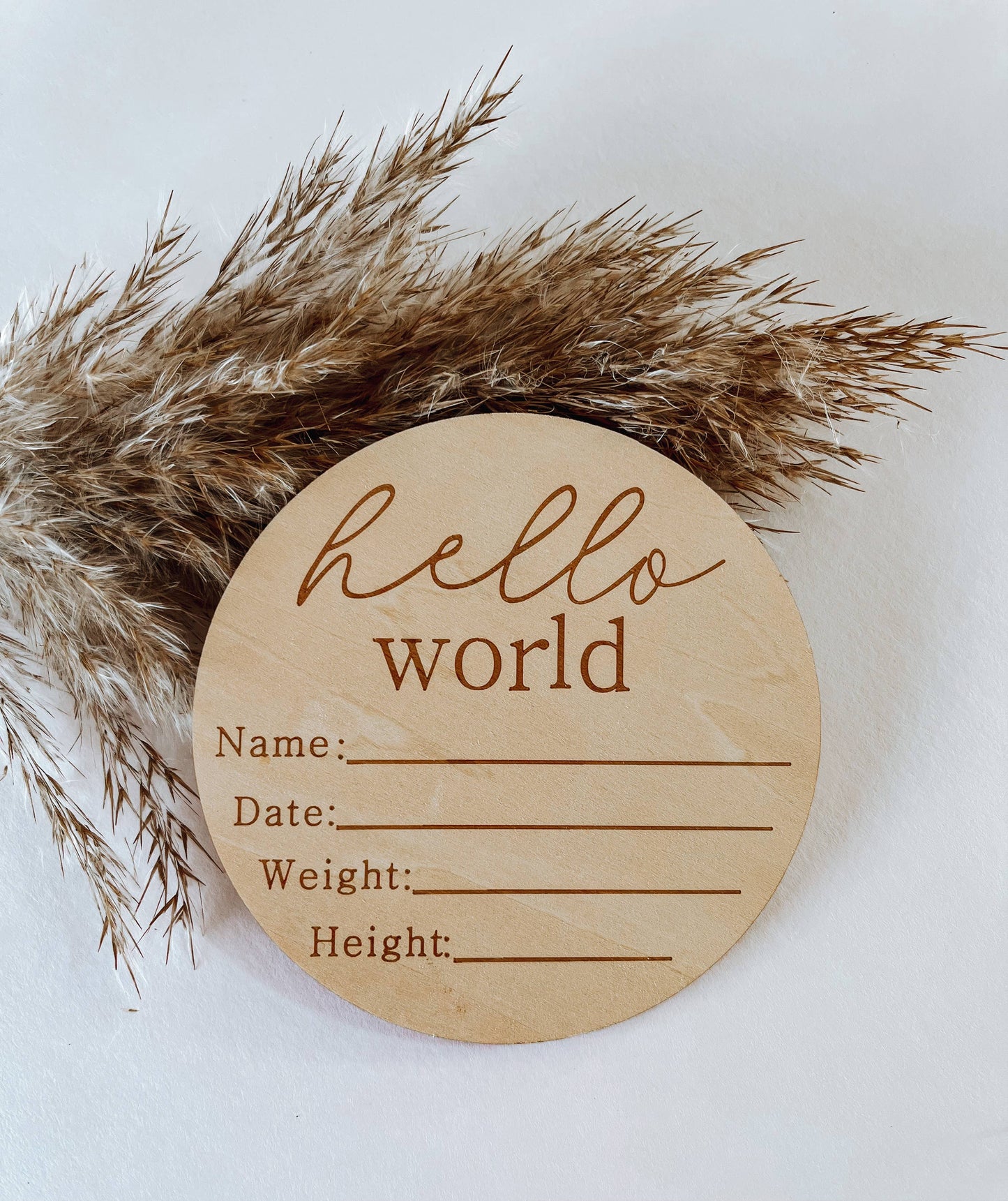 Hello World Birth Announcement Disc