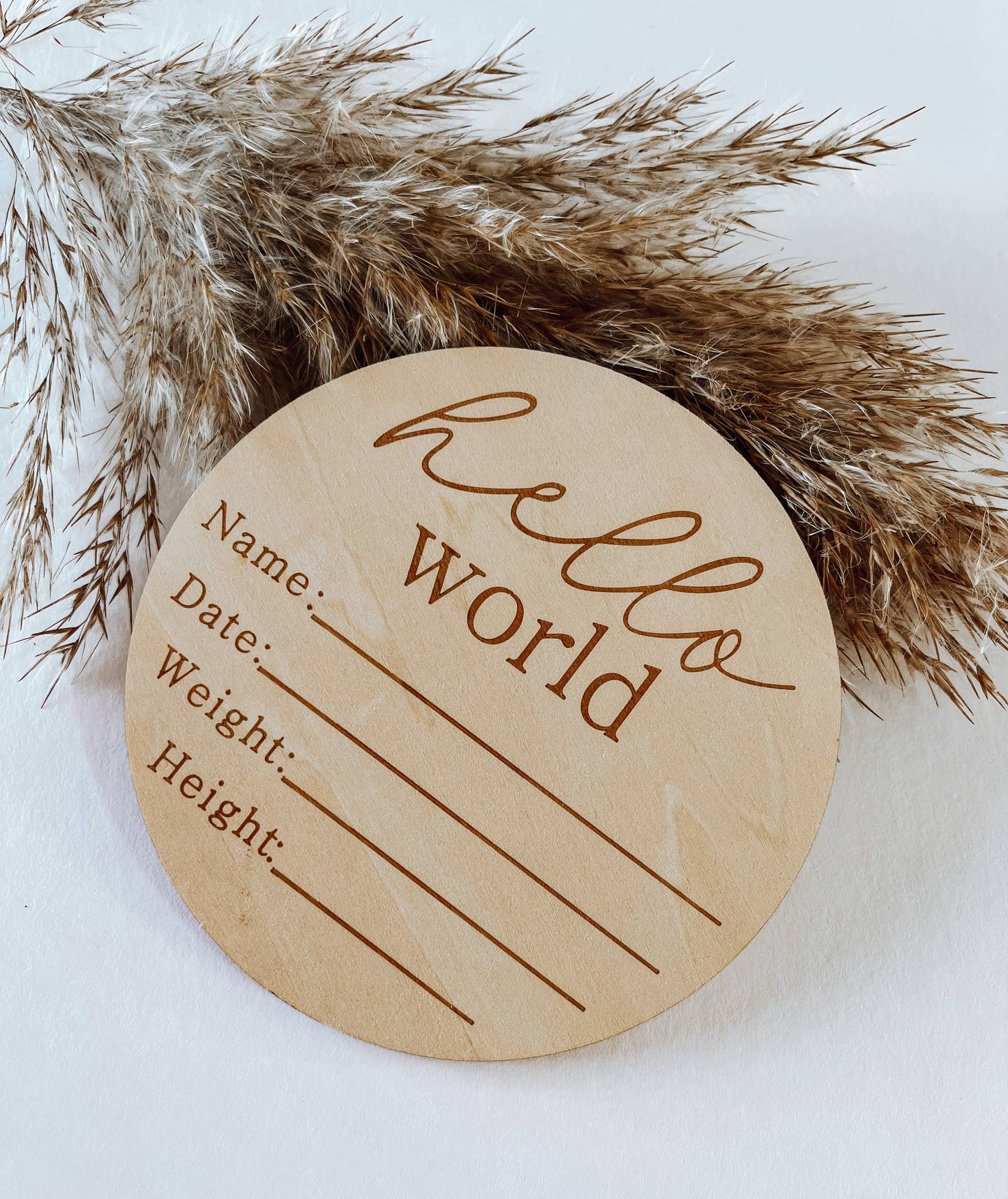 Hello World Birth Announcement Disc