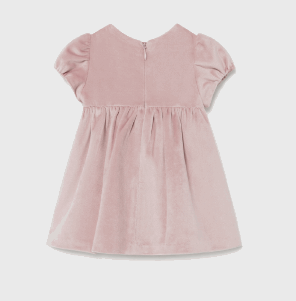 a pink velvet dress