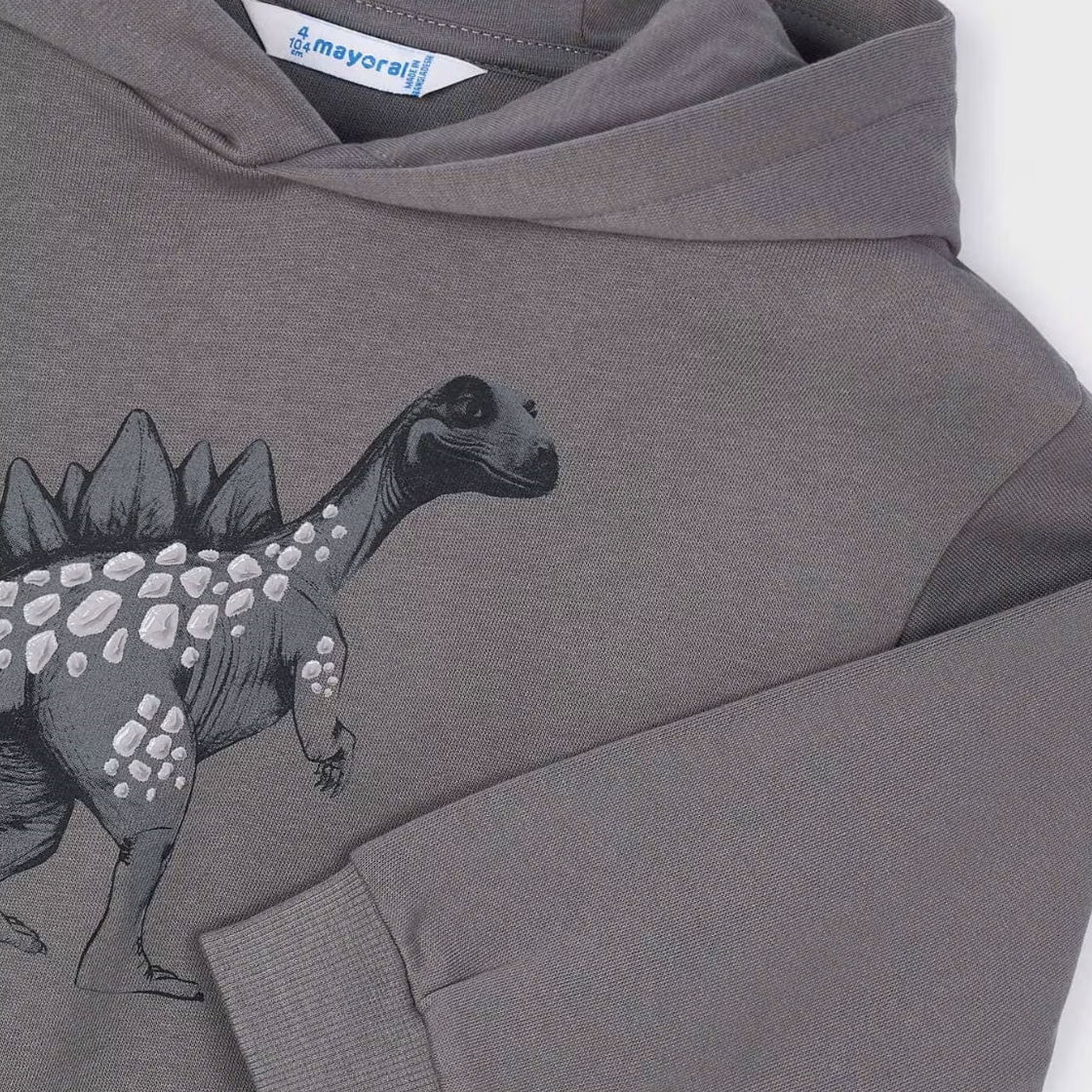 Embossed Dinosaur Children's Hoodie