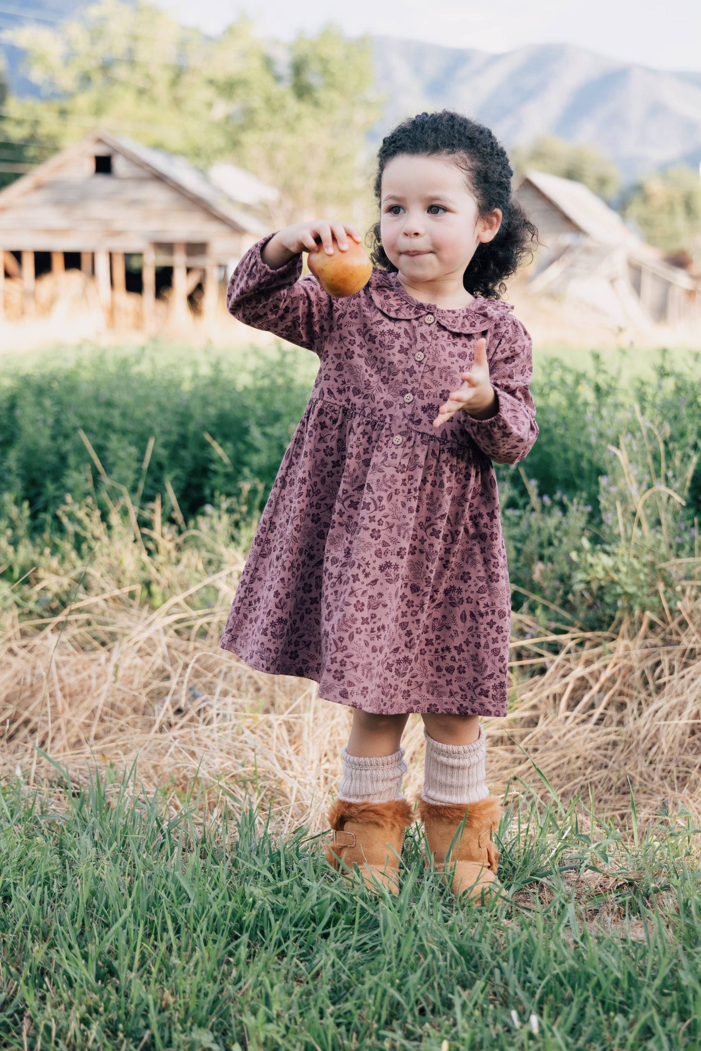 Frill Collar Dress- Fall Plum Birds