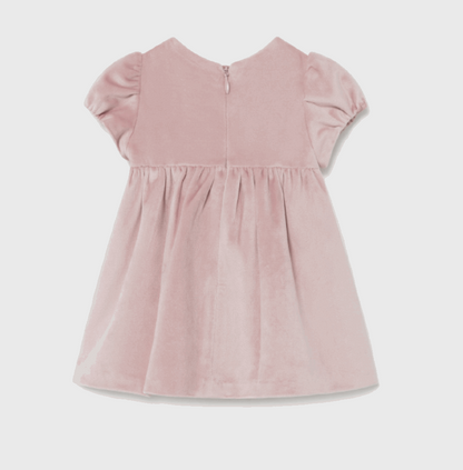 a pink velvet dress