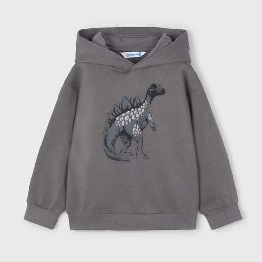 Embossed Dinosaur Children's Hoodie