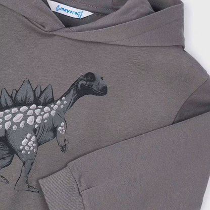 Embossed Dinosaur Children's Hoodie