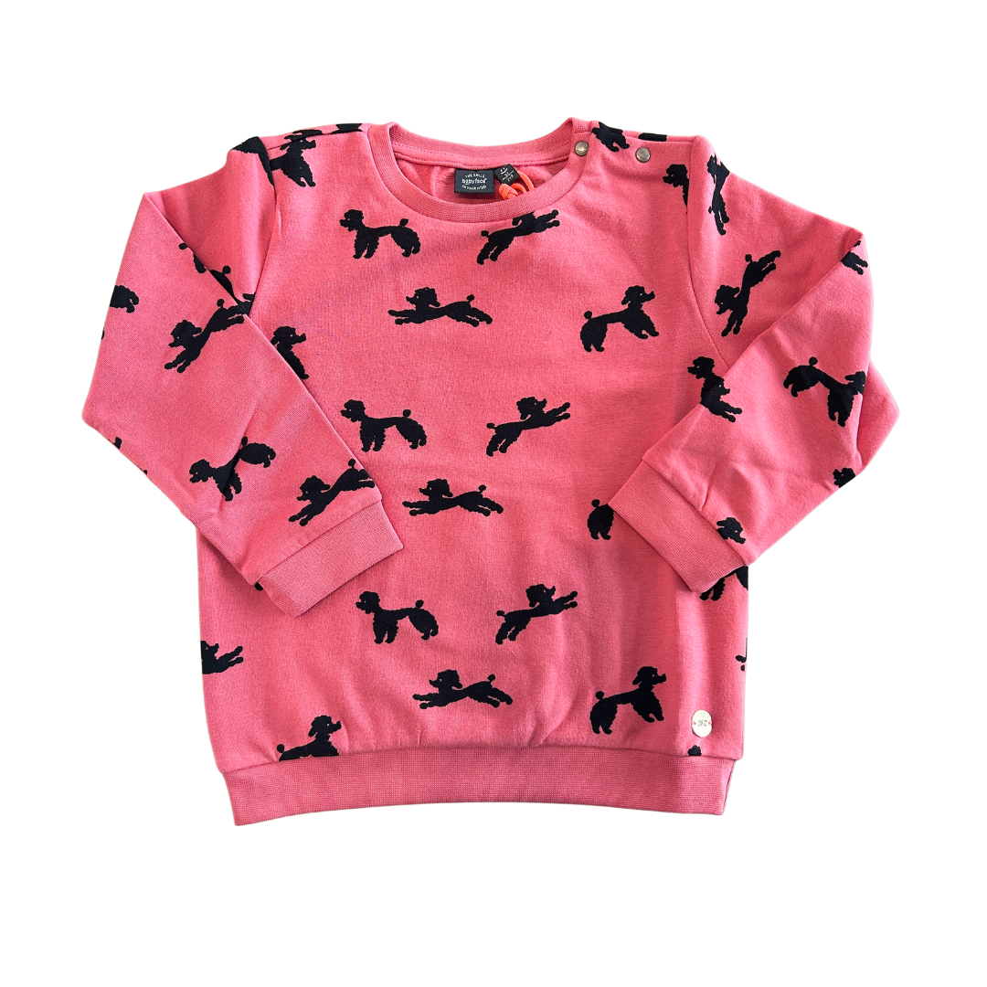 Children's Poodle Sweatshirt